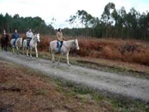RUTAS POR EL MONTE