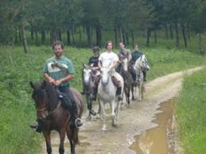 RUTAS POR MONTES