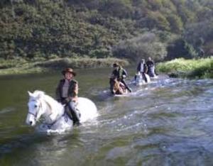 CRUZANDO RIOS