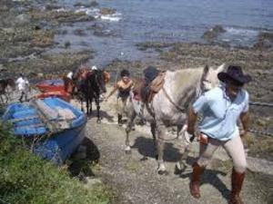 SUBIDA DE LA PLAYA