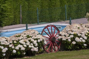 zonas comunes_piscina